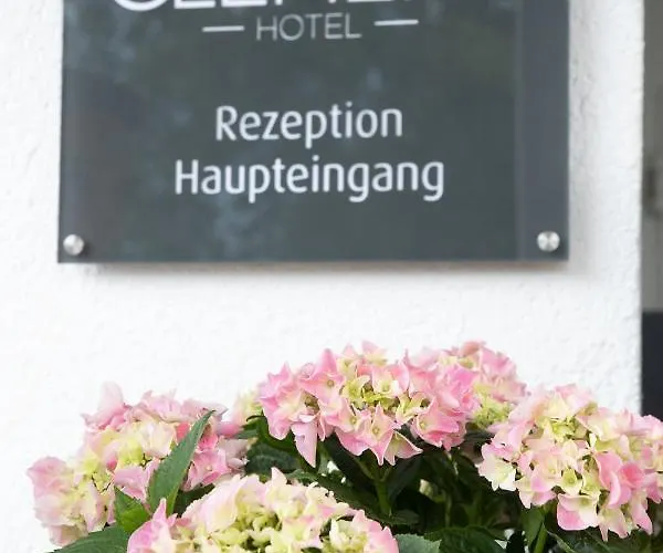 Отель Clement -