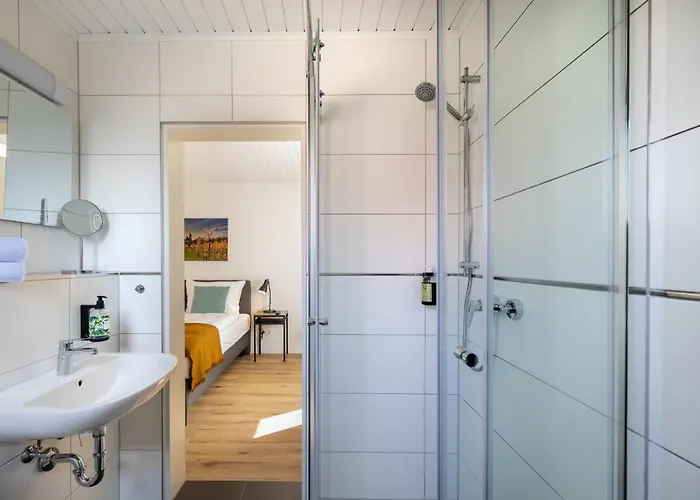 Отель Clement -