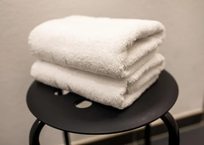 Отель Clement -