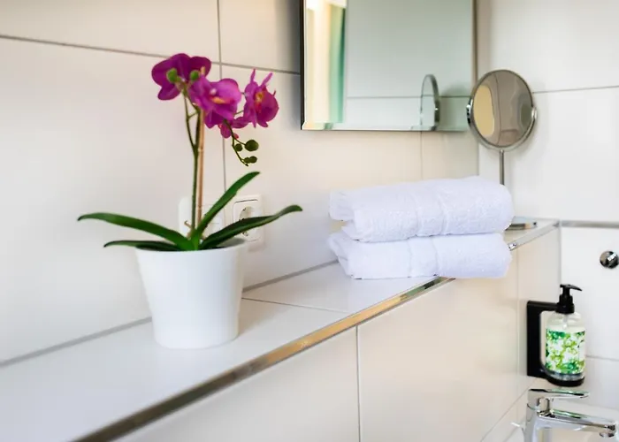 Отель Clement -